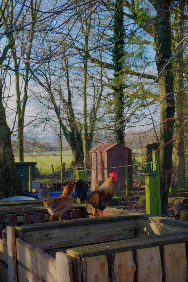 Meadow Barn Villa Hereford Bagian luar foto